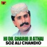 Soz Ali Chandio