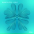 Malaky, Pyxis
