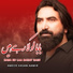 Ameer Hasan Aamir