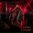 nicky troid