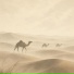 Iridian Sable