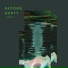 Pacôme Genty feat. Hikarï