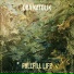 fullfill life