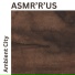 ASMR'R'US