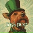 Irish Dog