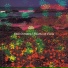 Still Corners