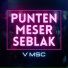 V MSC