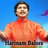 Kumar Raju