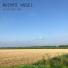 Ruimte Vogel