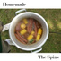 The Spins