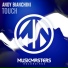 Andy Bianchini