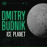Dmitry Budnik