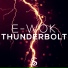 E-Wok
