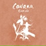 Cavana