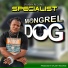 SPECIALIST