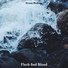 Northern Sound