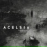 Acelsia