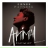 Conor Maynard