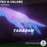 FILV & Vallhee [drivemusic.me]
