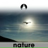 Mindful Spirit