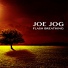 Joe Jog