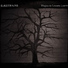iLiKETRAiNS