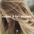 Calippo & Fort Arkansas