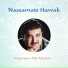 Maamoun Abd Alsalam