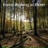 Nature Sounds Vidobia
