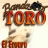 Banda Toro