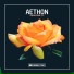 Aethon