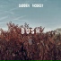 sudden modest
