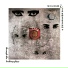 Siouxsie And The Banshees