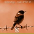 nCamargo