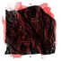 Morti Viventear