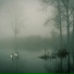 Lluvia Relajante, Meditación, Musica Relajante
