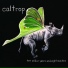 Caltrop