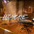 Leoncase