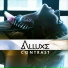 Alluxe