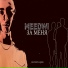 Meedwi