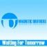 Magnetic Brothers
