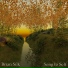 Brian Silk