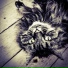 Music For Cats