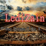 LediZain