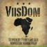 ViisDom