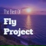 fly pro