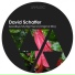David Schaffer