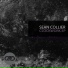 Sean Collier