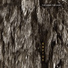 The Horn The Hunt