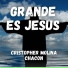 Cristopher Molina Chacon